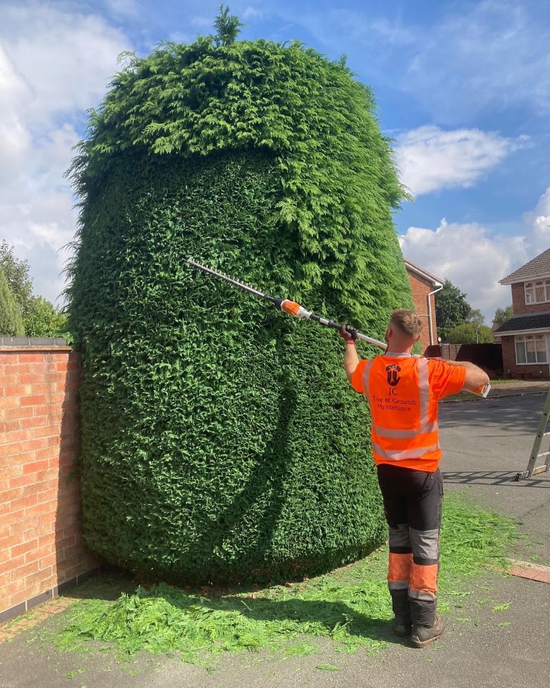 Hedge Cutting