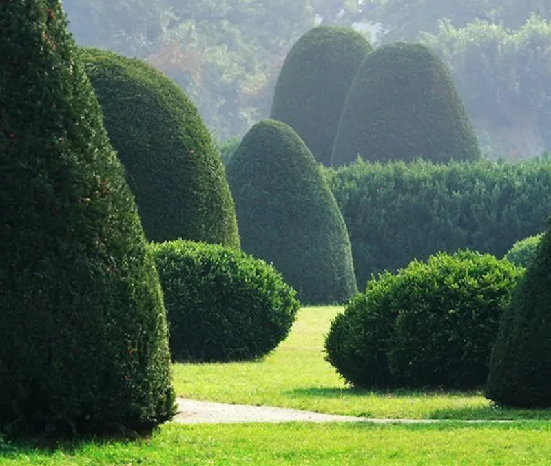 Grounds Maintenance